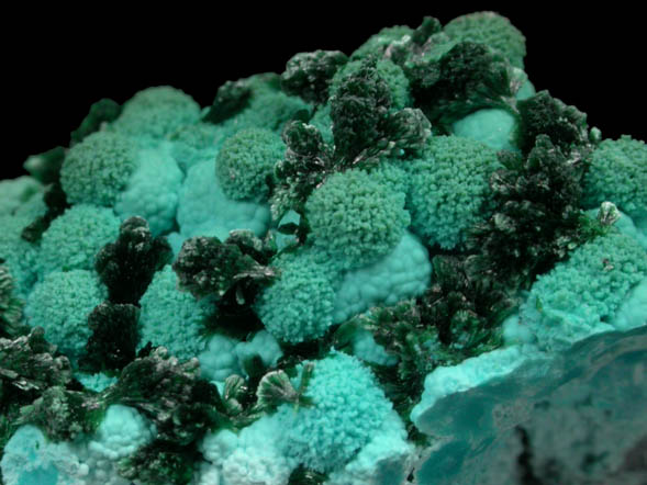 Malachite on Chrysocolla from Kolwezi Mining District, 240 km WNW of  Lubumbashi, Katanga Copperbelt, Lualaba Province, Democratic Republic of the Congo