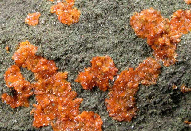 Lasalite from Firefly Mine Complex, La Sal area, Paradox District, San Juan County, Utah