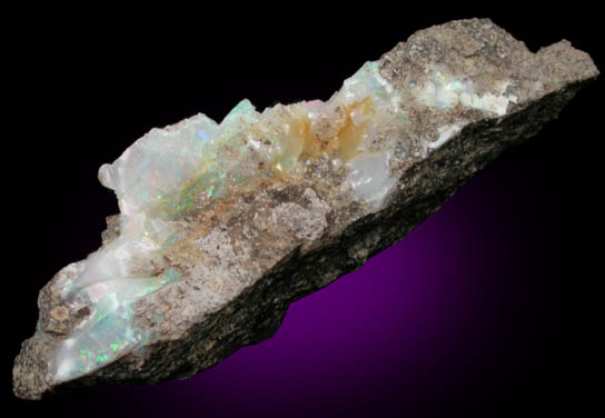 Opal var. Fire opal from Coober Pedy, South Australia, Australia