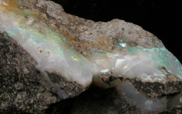 Opal var. Fire opal from Coober Pedy, South Australia, Australia