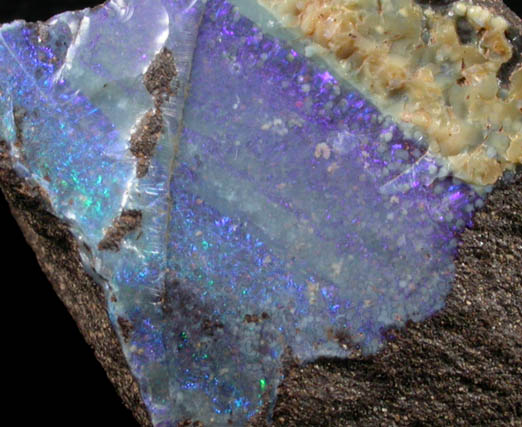 Opal var. Boulder Opal from Australia