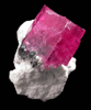 Beryl var. Bixbite (Red Beryl) from Rex Harris' Ruby Violet claim, 1 km north of Bumblebee Mountain, Wah Wah Mountains, Beaver County, Utah