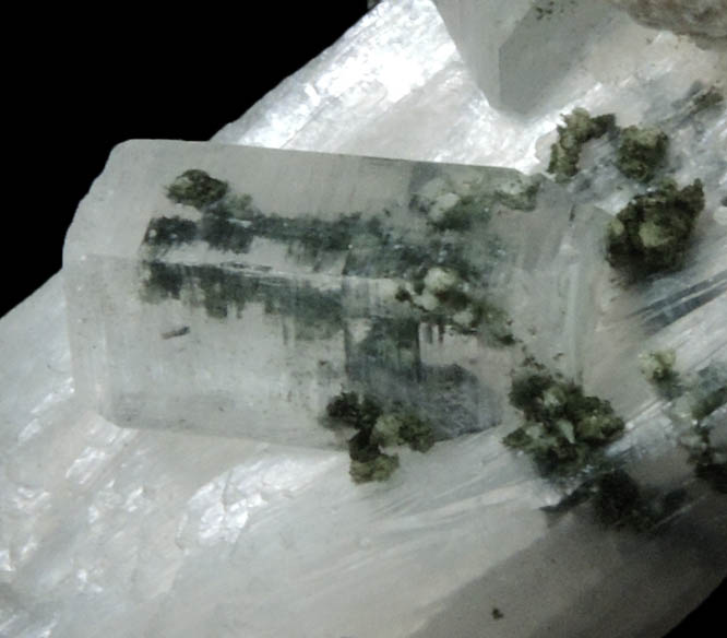 Stilbite, Apophyllite, Gyrolite, Chlorite from Ahmednagar, Maharashtra, India