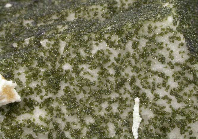 Duftite-Mottramite on Calcite from Tsumeb Mine, Otavi-Bergland District, Oshikoto, Namibia (Type Locality for Duftite)