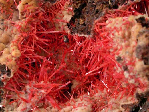 Crocoite with Gibbsite from Red Lead Mine, Dundas, Tasmania, Australia