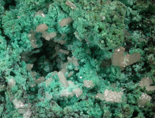 Cerussite on Chrysocolla pseudomorphs after Aurichalcite from 79 Mine, Banner District, near Hayden, Gila County, Arizona