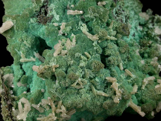 Cerussite on Chrysocolla pseudomorphs after Aurichalcite from 79 Mine, Banner District, near Hayden, Gila County, Arizona