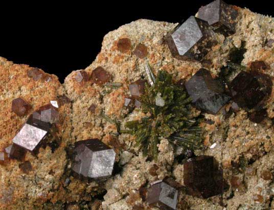 Andradite Garnet with Epidote from Hampshire Mine, Tasmania, Australia