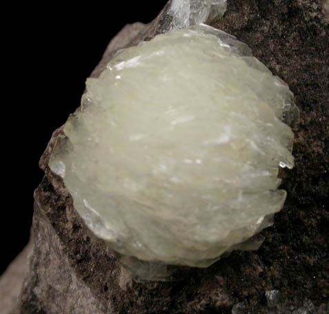 Barite from Pugh Quarry, 6 km NNW of Custar, Wood County, Ohio