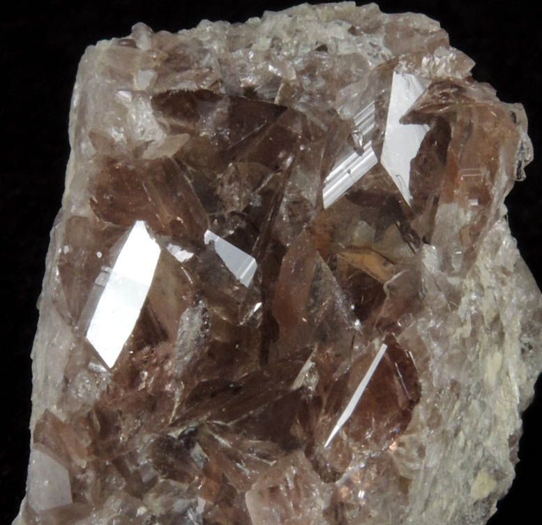 Axinite-(Fe) from Bourg d'Oisans, Isere, Dauphin Region, Rhone-Alpes, France (Type Locality for Axinite-(Fe))