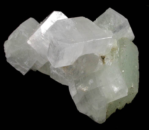 Apophyllite on Prehnite from Clairwood Quarry, Durban, KwaZulu-Natal Province, South Africa