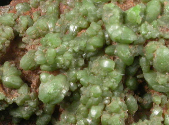 Pyromorphite from Roughton Gill Mine, Caldbeck Fells, Cumbria, England