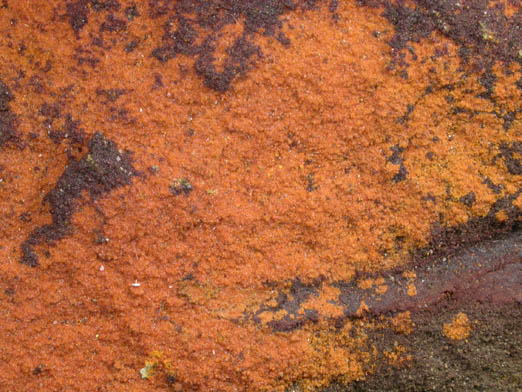 Lasalite from Firefly Mine Complex, La Sal area, Paradox District, San Juan County, Utah