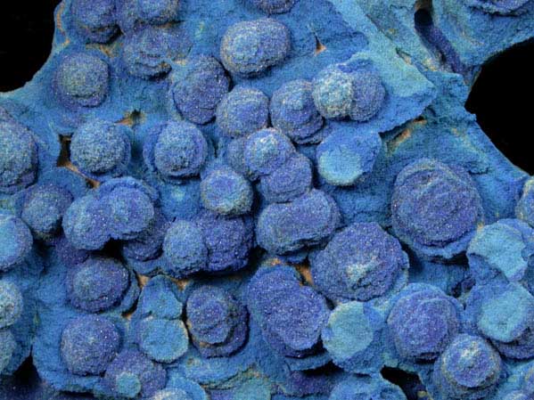 Azurite from Nacimiento Mine, Sandoval County, New Mexico