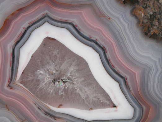 Quartz var. Laguna Agate from Alianza Claim, Ojo Laguna, Ahumada, Chihuahua, Mexico