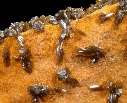 Vanadinite var. Endlichite on Descloizite from Chalk Mountain Mine, 510' Level, Churchill County, Nevada