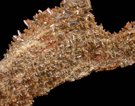 Vanadinite var. Endlichite on Descloizite from Chalk Mountain Mine, 510' Level, Churchill County, Nevada