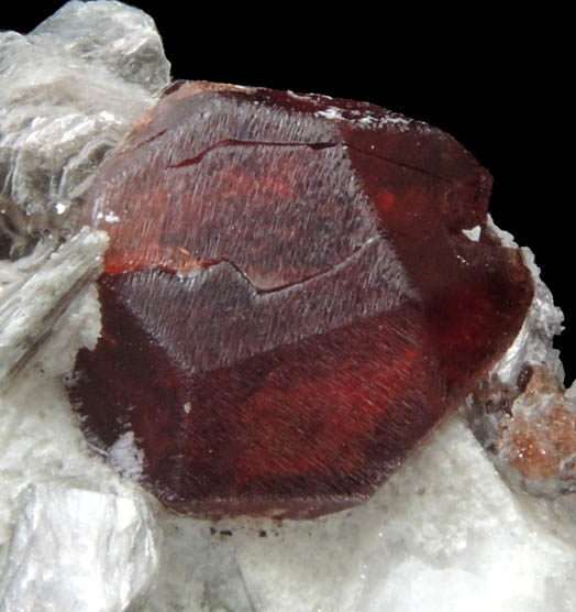 Spessartine Garnet in Muscovite from Shigar Valley, Skardu District, Gilgit-Baltistan, Pakistan