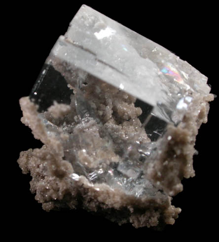 Fluorite on limestone from Walworth Quarry, Wayne County, New York