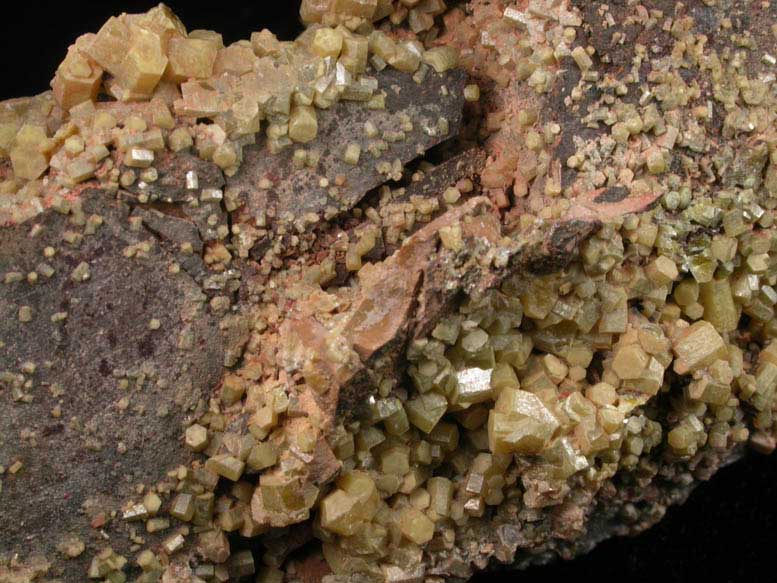 Pyromorphite from Black Star Open Cut, Mount Isa Mines, Queensland, Australia