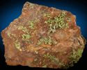 Pyromorphite from Longvilly, Bastogne, Luxembourg Province, Belgium