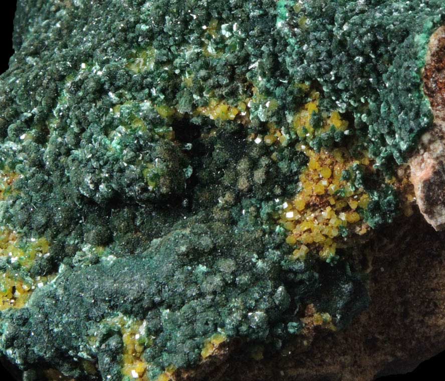 Pseudomalachite with Pyromorphite from Brown's Prospect, Rum Jungle, 61 km south of Darwin, Northern Territory, Australia