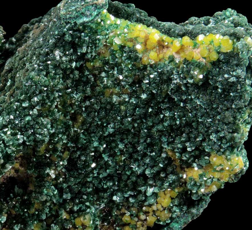 Pseudomalachite with Pyromorphite from Brown's Prospect, Rum Jungle, 61 km south of Darwin, Northern Territory, Australia
