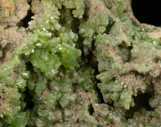 Pyromorphite from Vena Crabulazzu, Medio Campidano, Sardinia, Italy