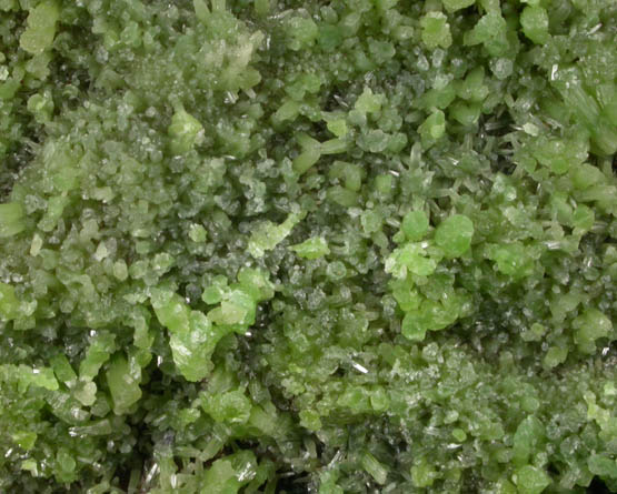 Pyromorphite from Miniera di San Giovanni, Punta della Torre, Iglesias, Sardinia, Italy