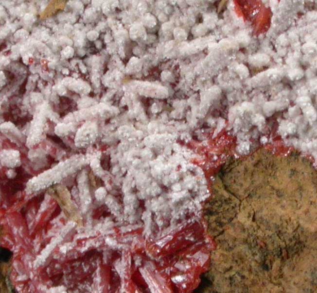 Dundasite over Crocoite from Adelaide Mine, Dundas, Tasmania, Australia (Type Locality for Dundasite)