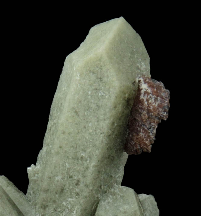 Brookite on Quartz with Chlorite from Kharan Mountain, Baluchistan, Pakistan