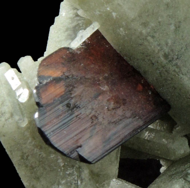 Brookite on Quartz with Chlorite from Kharan Mountain, Baluchistan, Pakistan