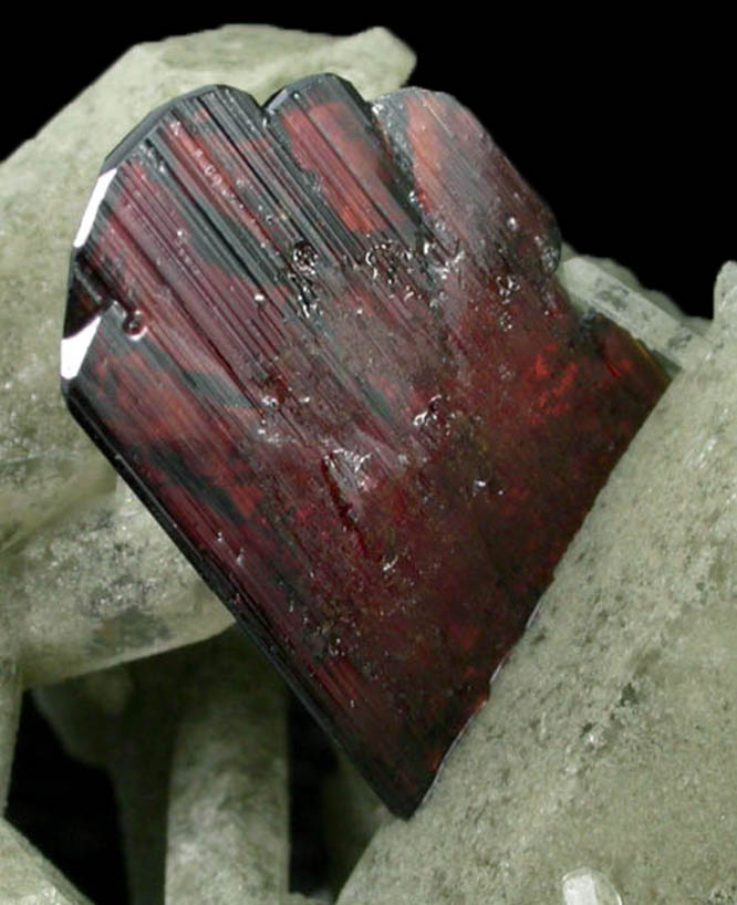 Brookite on Quartz with Chlorite from Kharan Mountain, Baluchistan, Pakistan