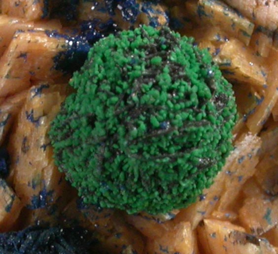 Azurite and Malachite on Dolomite from Main shaft on top of Great Orme, Llandudno, Conwy, Wales