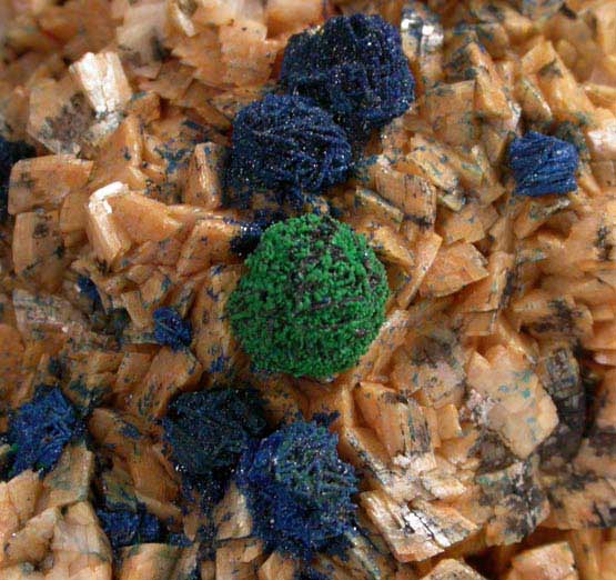 Azurite and Malachite on Dolomite from Main shaft on top of Great Orme, Llandudno, Conwy, Wales