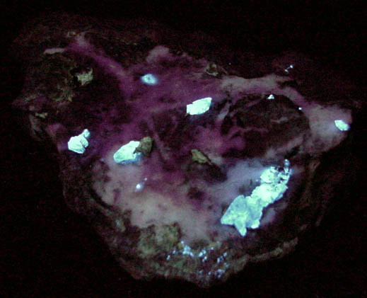 Benitoite, Neptunite, Joaquinite-(Ce), Crossite on Natrolite from Benitoite Gem Mine, New Idria District, San Benito County, California (Type Locality for Benitoite and Joaquinite-(Ce))