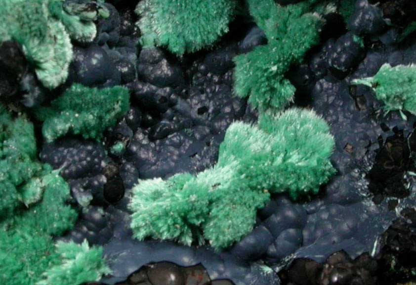 Malachite on Chrysocolla and Goethite from Oro Grande, Otero County, New Mexico