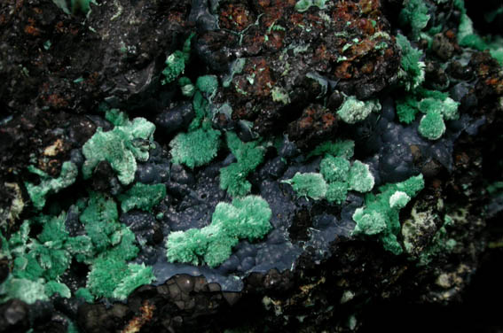 Malachite on Chrysocolla and Goethite from Oro Grande, Otero County, New Mexico