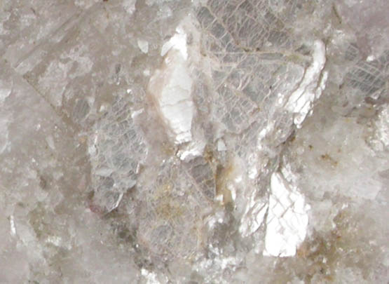 Epistolite from Taseq Slope, Ilímaussaq Complex, Narsaq, Kujalleq, Greenland (Type Locality for Epistolite)