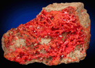 Crocoite from Dundas, Tasmania, Australia