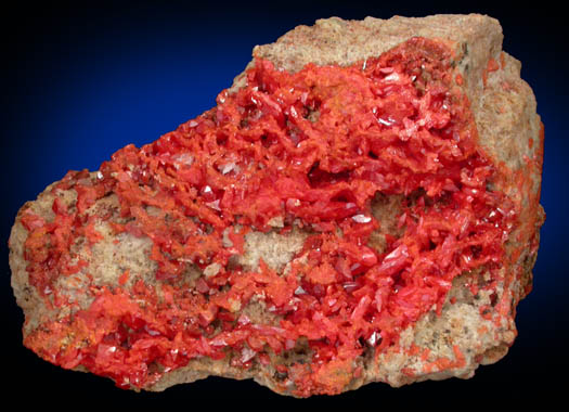 Crocoite from Dundas, Tasmania, Australia