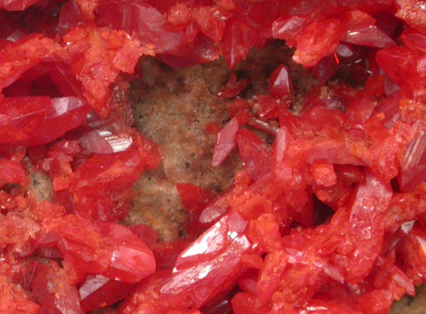 Crocoite from Dundas, Tasmania, Australia