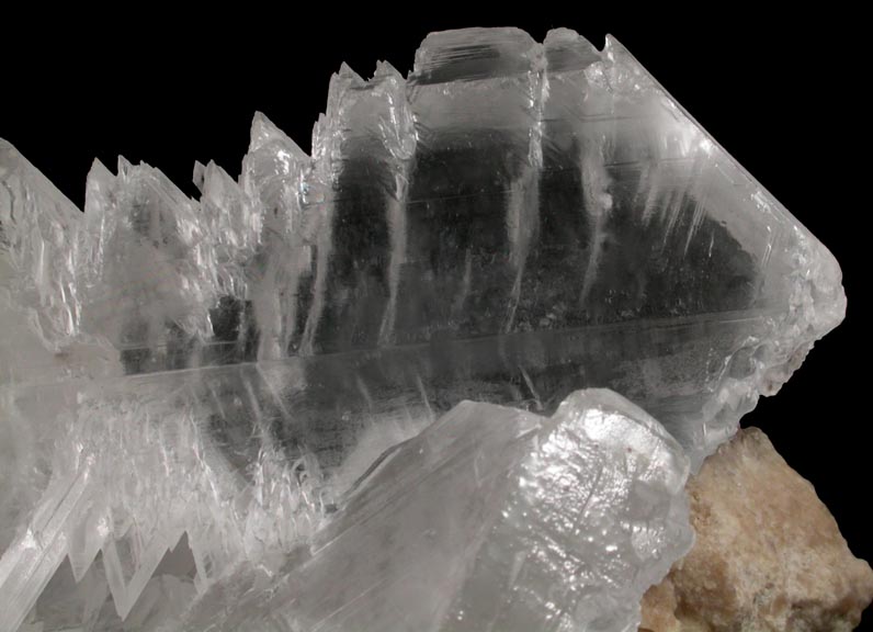 Gypsum var. Selenite from Naica District, Saucillo, Chihuahua, Mexico