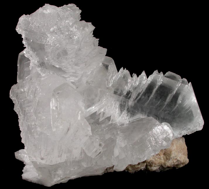 Gypsum var. Selenite from Naica District, Saucillo, Chihuahua, Mexico