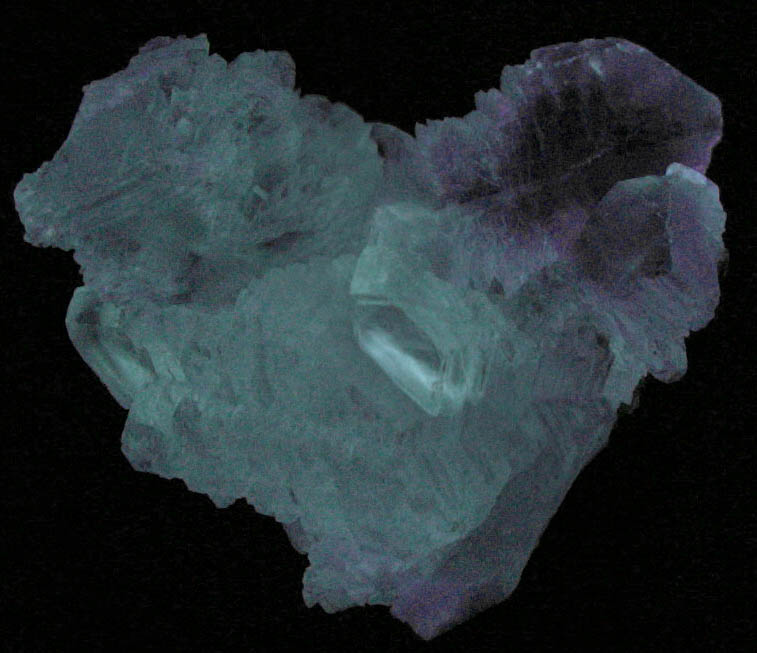 Gypsum var. Selenite from Naica District, Saucillo, Chihuahua, Mexico