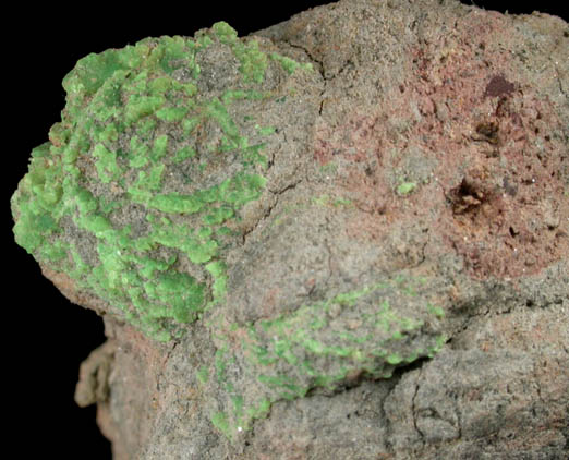 Andersonite from Atomic King Mine, San Juan County, Utah