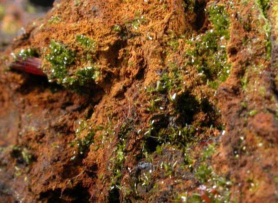 Pyromorphite and Crocoite from Platt Mine, Dundas, Tasmania, Australia