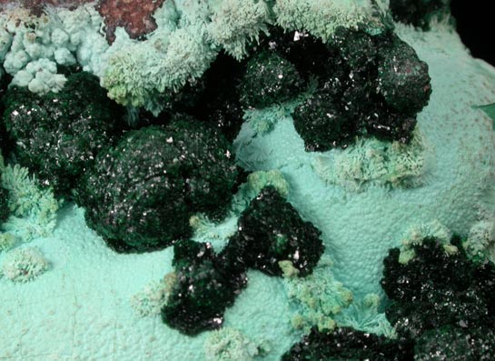 Malachite on Chrysocolla from Kolwezi Mining District, 240 km WNW of  Lubumbashi, Katanga Copperbelt, Lualaba Province, Democratic Republic of the Congo