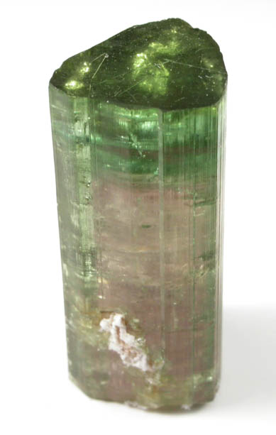 Elbaite var. Watermelon Tourmaline from Mount Mica Quarry, Paris, Oxford County, Maine