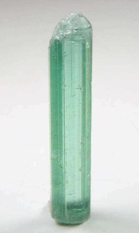 Elbaite Tourmaline from Havey Quarry, Spaniard's Pocket, Poland, Androscoggin County, Maine